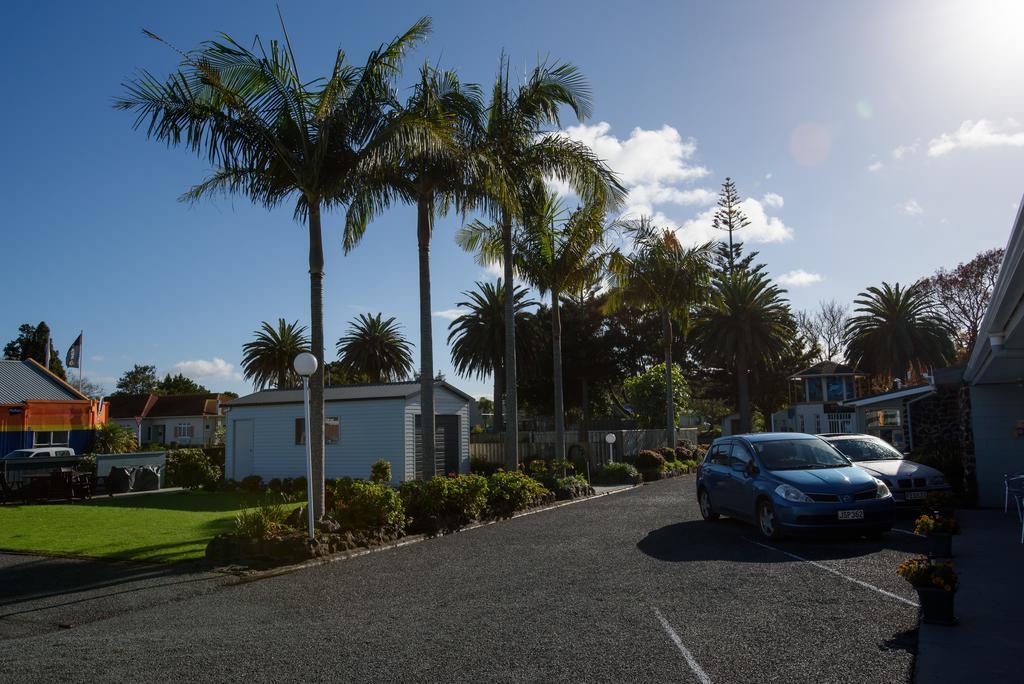 Kauri Kaitaia
