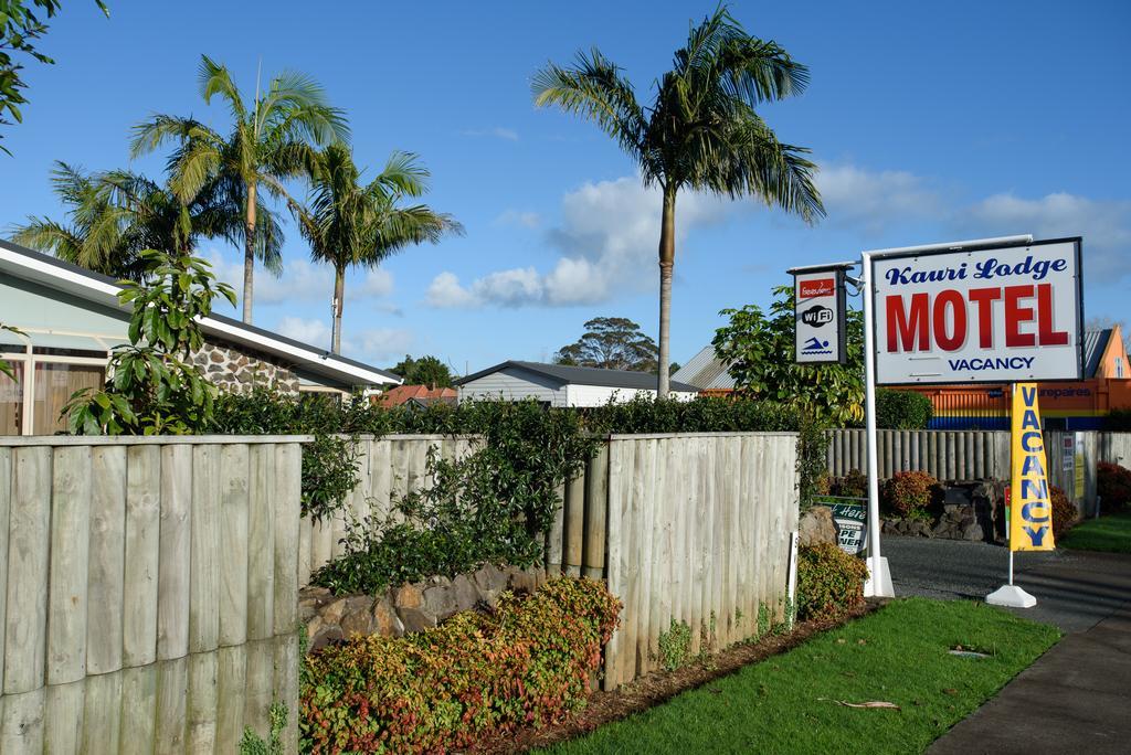 Kauri